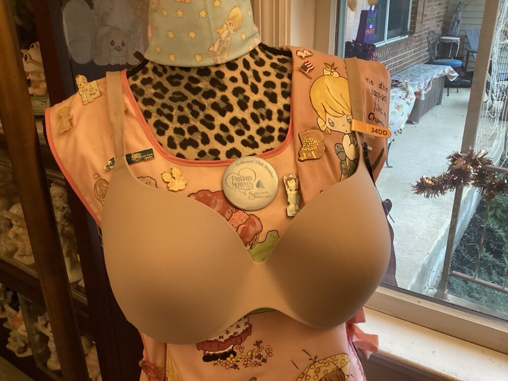 Maiden Form Brand New Bra w/ tags